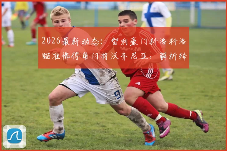 2026最新动态：智利豪门科洛科洛瞄准佛得角门将沃齐尼亚，解析转会前景与球员市场价值