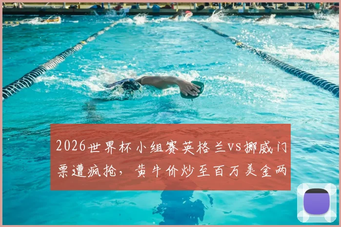 2026世界杯小组赛英格兰vs挪威门票遭疯抢，黄牛价炒至百万美金两张，球迷购票攻略详解